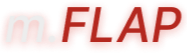 Логотип «Магнитный флап»